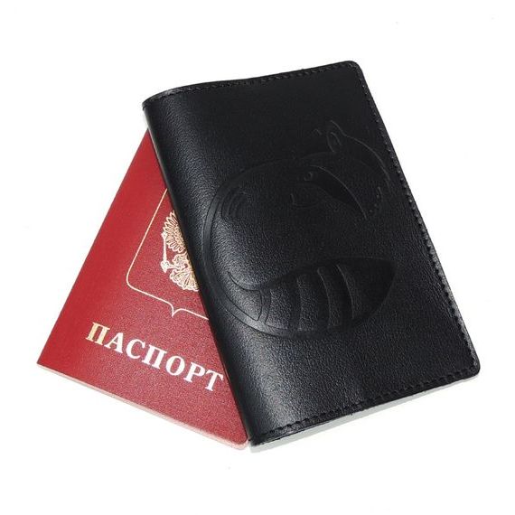 прописка в Сосновке
